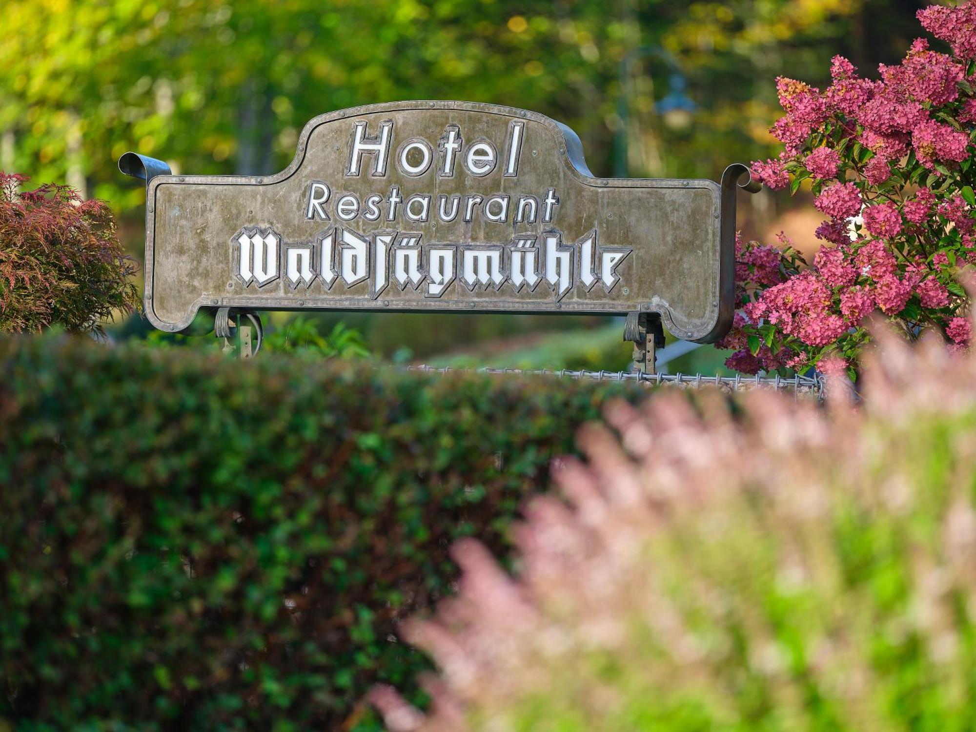 Hotel Restaurant Waldsaegmuehle Pfalzgrafenweiler Exteriör bild